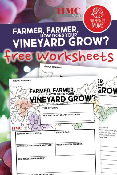 Red grapes on the vine in the background with purple banner in foreground titled Farmer Farmer How Does Your Vineyard Grow? Free Worksheets! Includes image of two worksheets in the bottom right and logos from HMC Farms and The Produce Moms